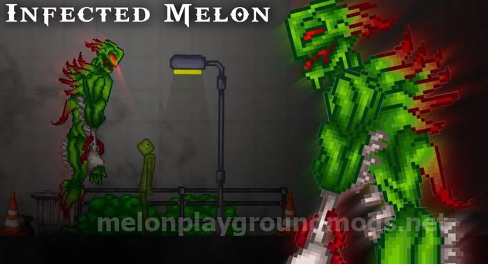 Infected Melon