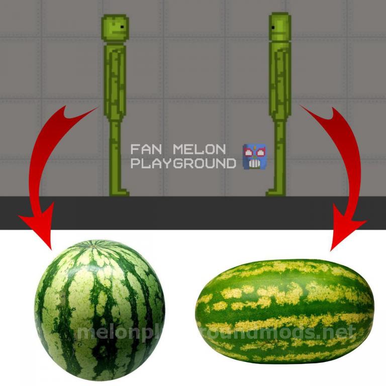 NPC Long melon